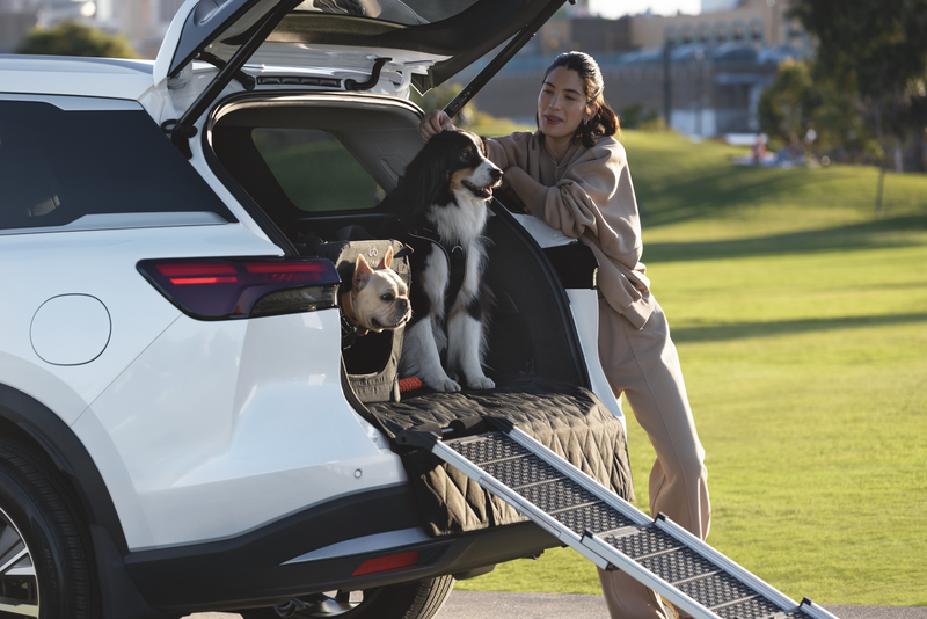 Dos perros en la cajuela de una INFINITI: el más pequeño en una transportadora y el más grande con arnés, preparados para bajar por una rampa especial para mascotas