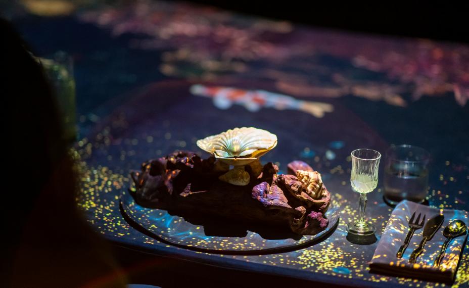 Close-up of gourmet dish with digital projection