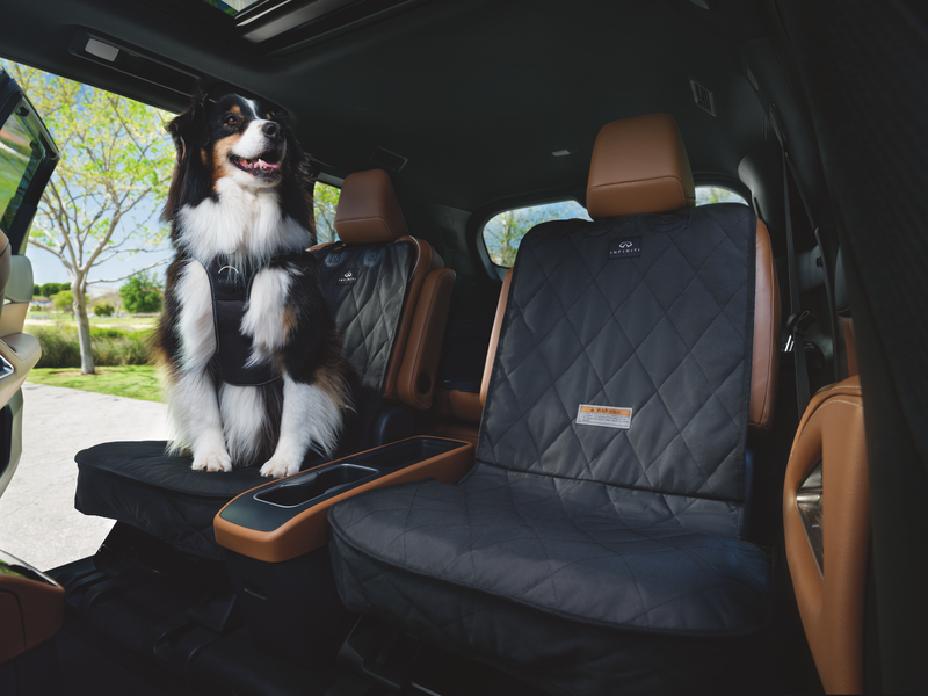 Perro feliz con arnés, sentado en el asiento trasero de un INFINITI, listo para salir de paseo